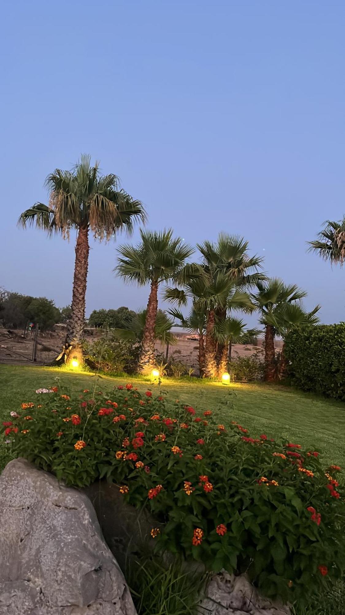 שיקלי Masseria Boscorotondo מראה חיצוני תמונה