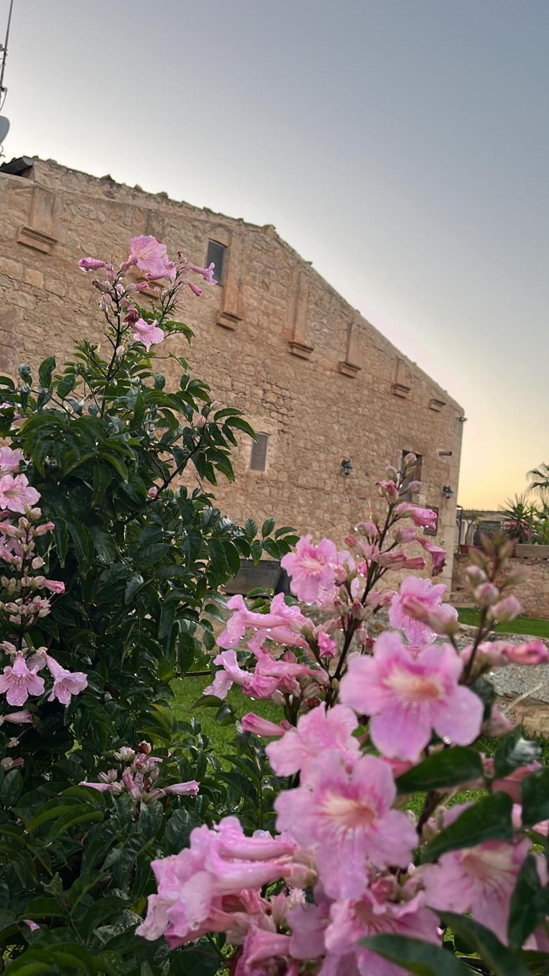 שיקלי Masseria Boscorotondo מראה חיצוני תמונה